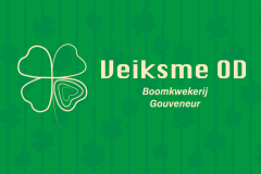 Veiksme-OD-extra-tekst2